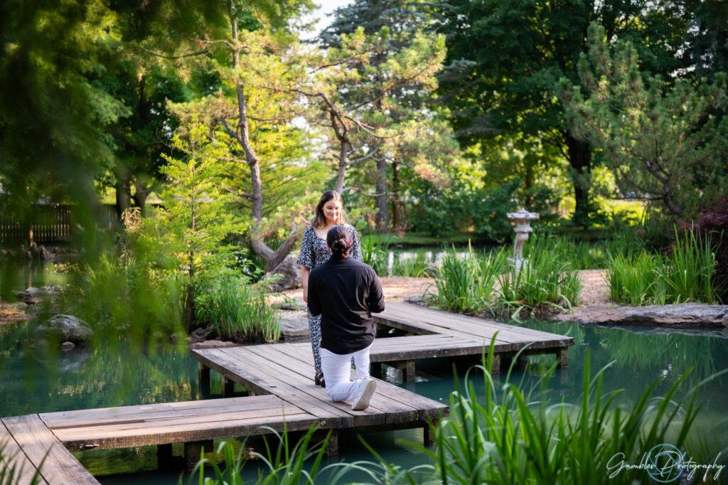 On one knee, a man proposes in Springfield, MO, at the Mizumoto Japanese Stroll Garden. With weaving wood planks and a koi pond beneath them, a man proposes to his longtime girlfriend. Photo by Gambles Photography